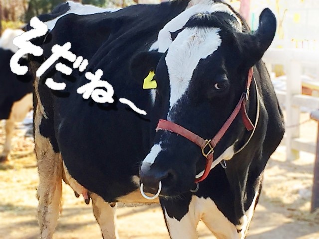 大勢での飲み会が苦手なアナタへ 一人ぼっちにならない５つのコツ Love Manner Life